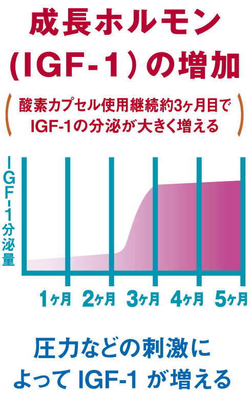 成長ホルモン「IGF-1」の増加